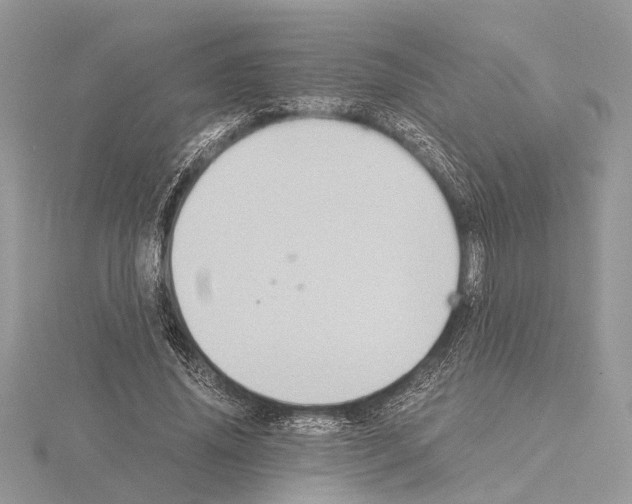 X0000115020636200912071028