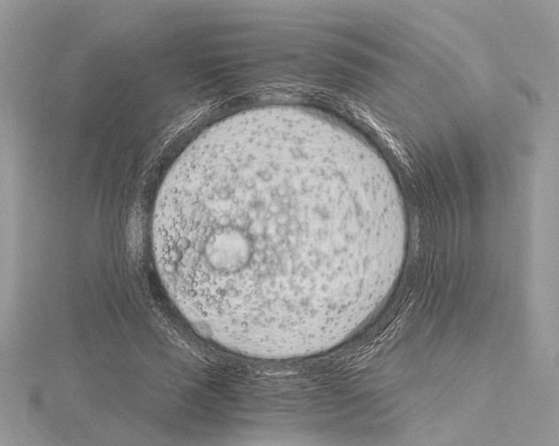 X0000115020637200912071028