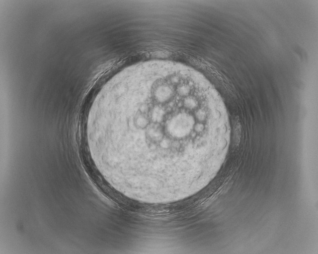 X0000115020638200912071028