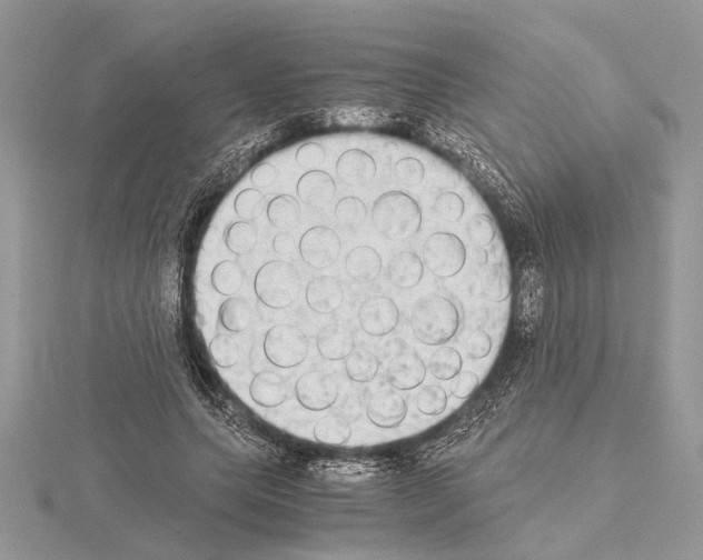 X0000115020639200912071028