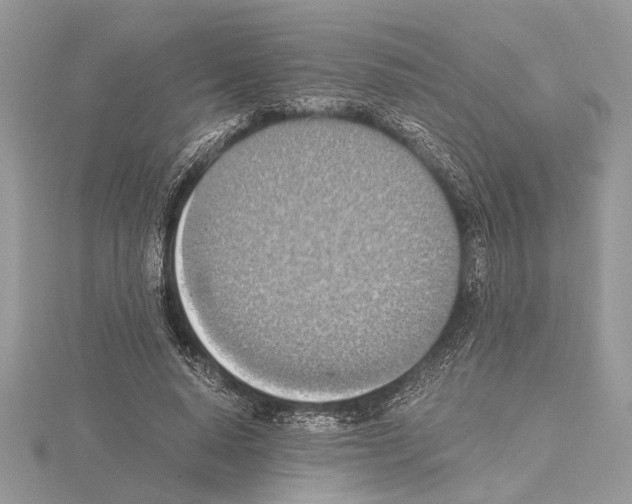 X0000115020640200912071028