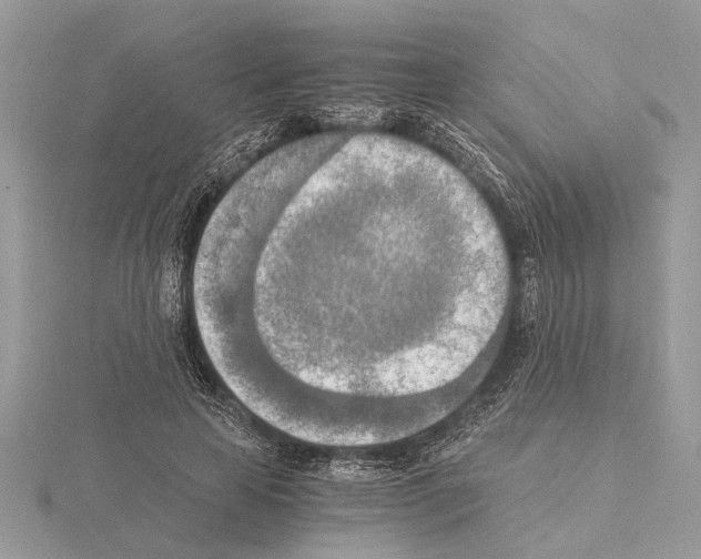 X0000115020641200912071028