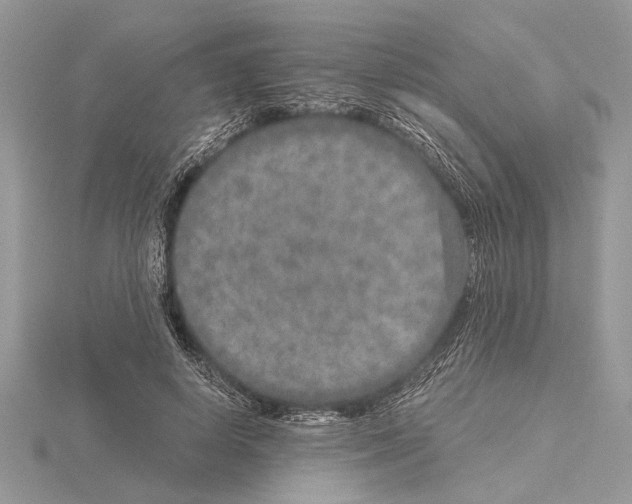 X0000115020642200912071028