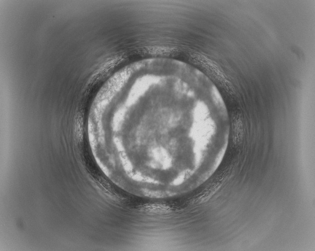 X0000115020644200912071028