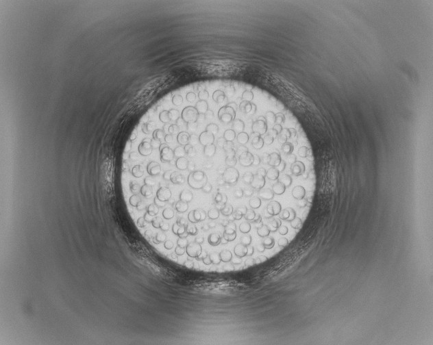 X0000115020646200912071028