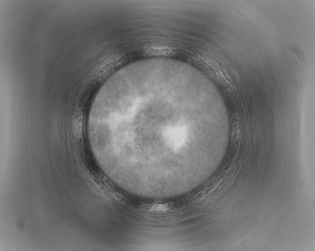 X0000115020647200912071028