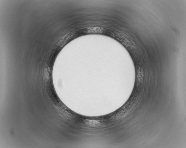 X0000115020649200912071028