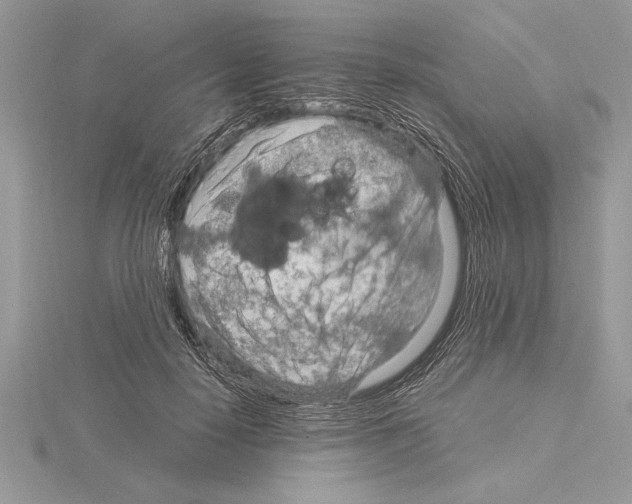 X0000115020650200912071028