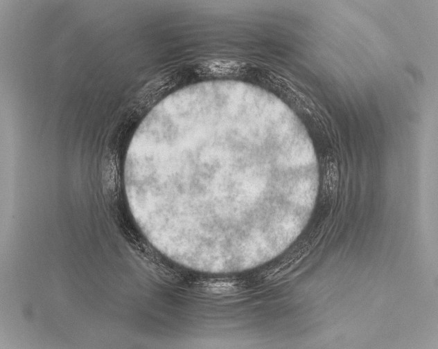 X0000115020651200912071028