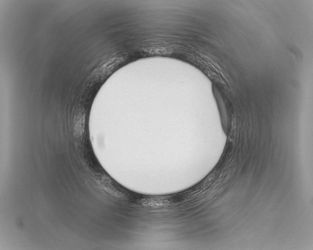 X0000115020652200912071028