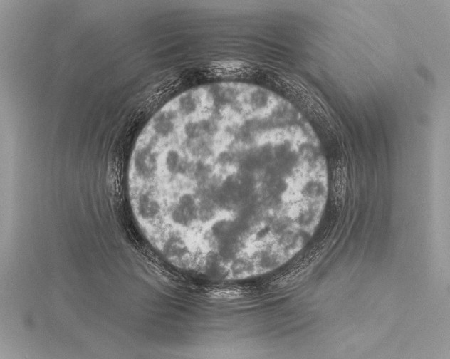 X0000115020653200912071028