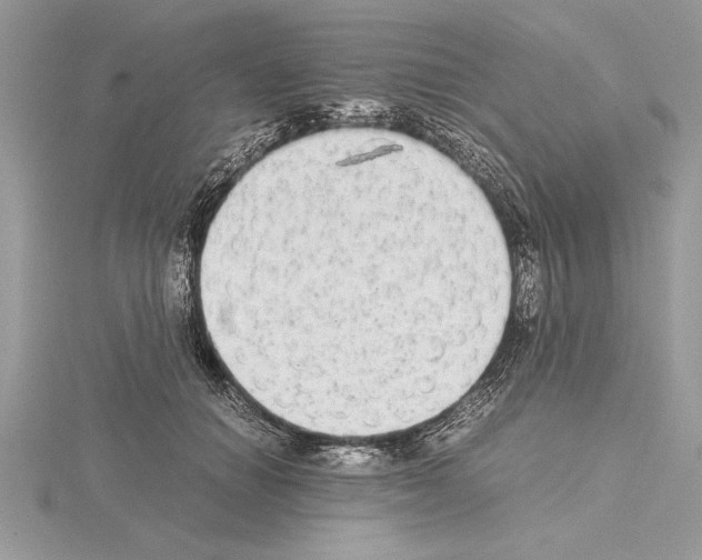 X0000115020654200912071028