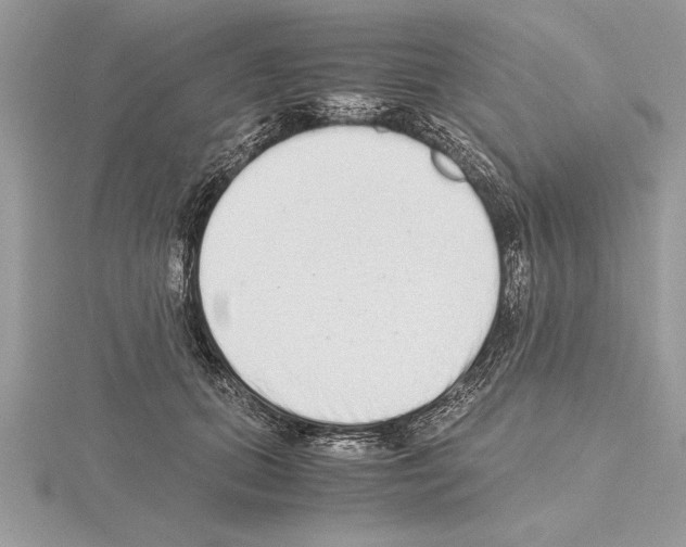 X0000115020655200912071028