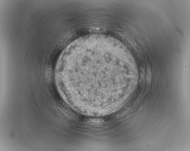 X0000115020659200912071028