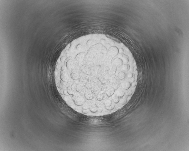 X0000115020662200912071028