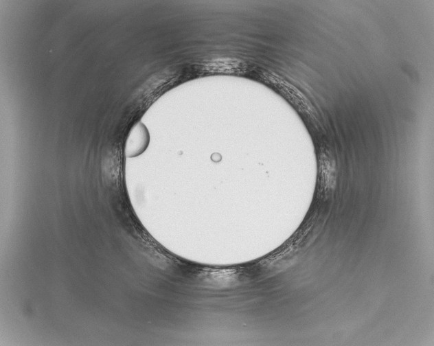 X0000115020665200912071028