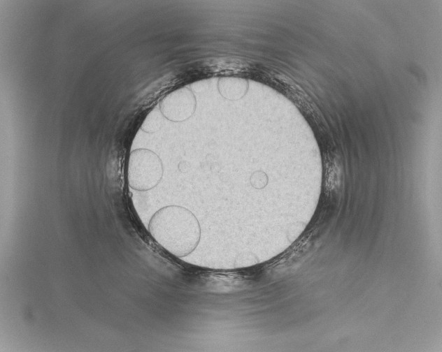 X0000115020666200912071028