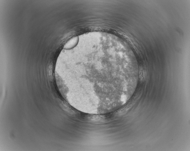 X0000115020670200912071028