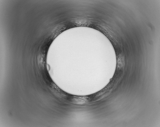 X0000115020671200912071029