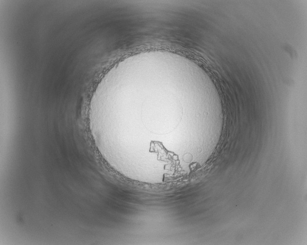 X0000115020672200912071029