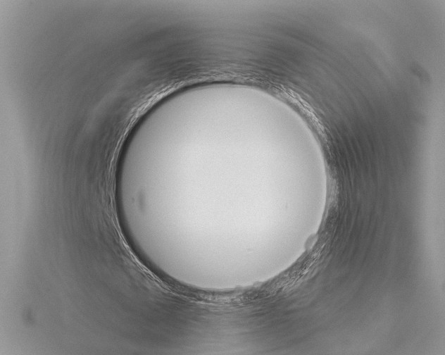 X0000115020673200912071028