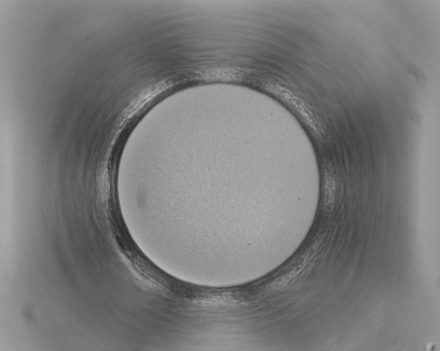 X0000115020674200912071028