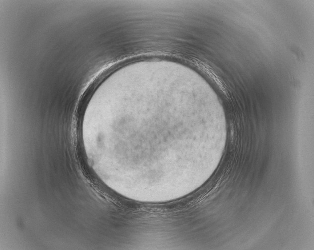 X0000115020676200912071028