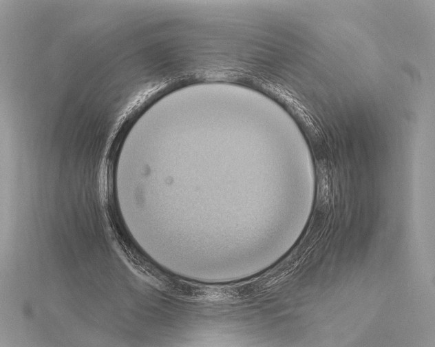 X0000115020678200912071028