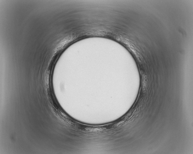 X0000115020679200912071028