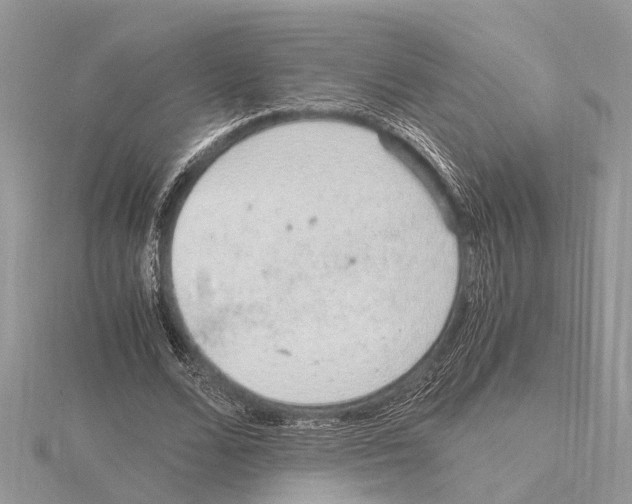 X0000115020680200912071028