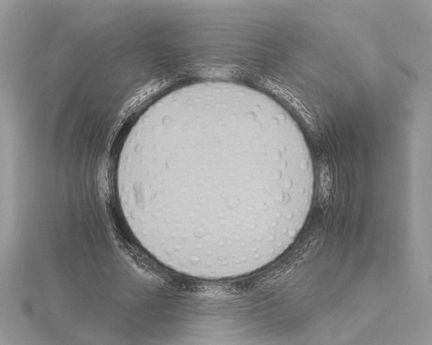 X0000115020682200912071028