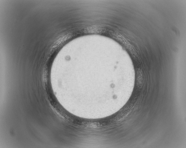 X0000115020683200912071027