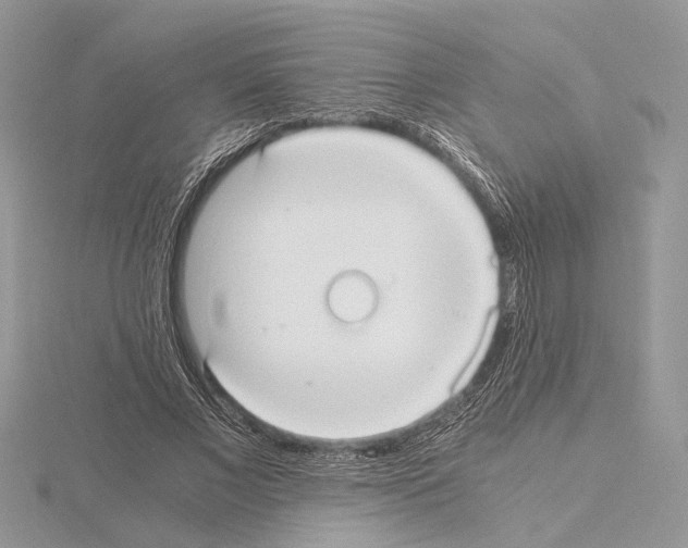 X0000115020685200912071027