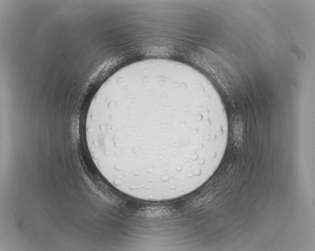 X0000115020686200912071027