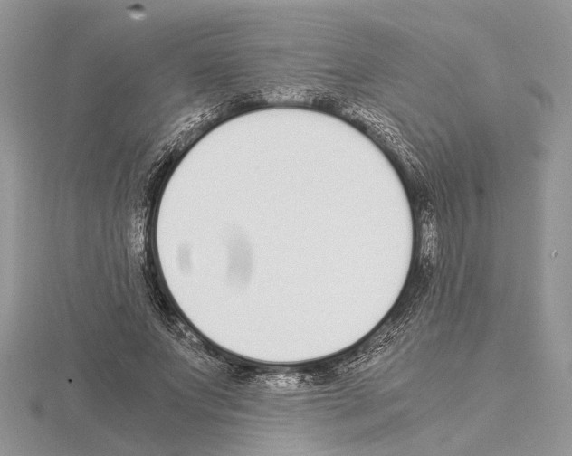 X0000115020687200912071027