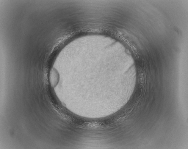 X0000115020688200912071027