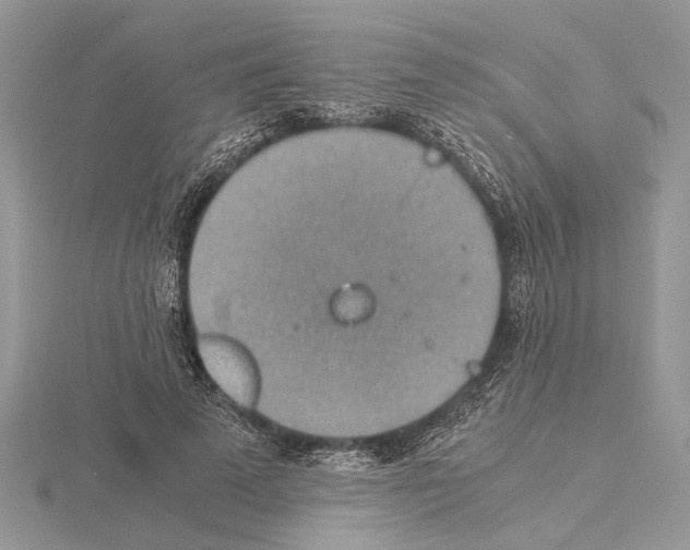 X0000115020689200912071027