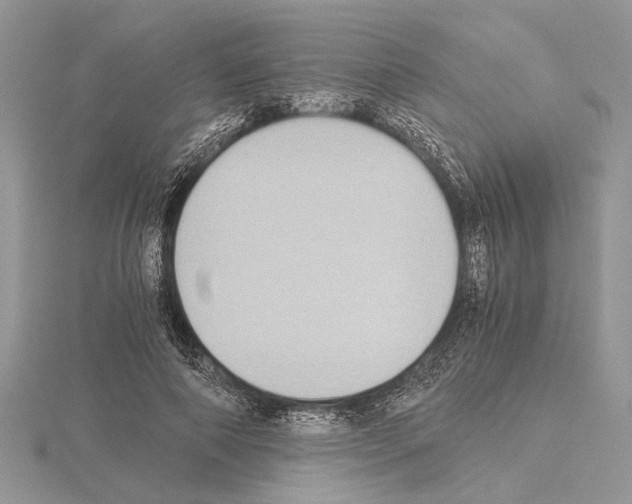 X0000115020690200912071027