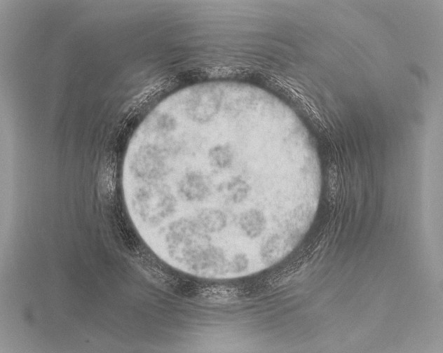 X0000115020691200912071027