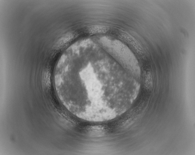 X0000115020692200912071027