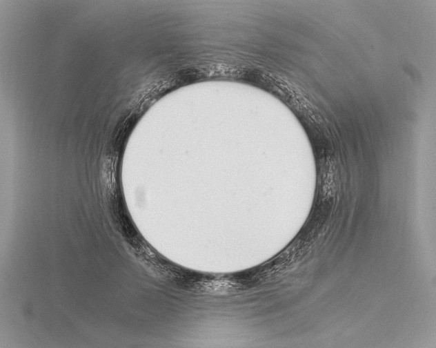 X0000115020695200912071027