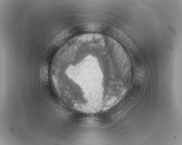 X0000115020696200912071027