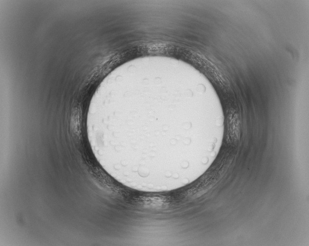 X0000115020698200912071027