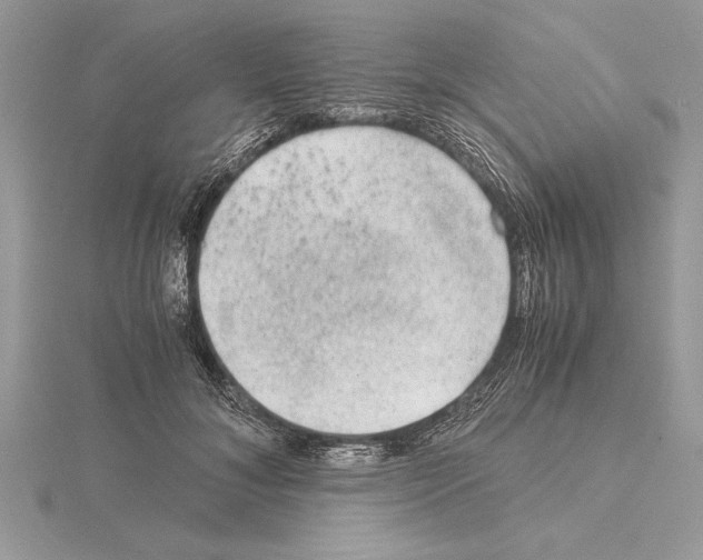 X0000115020700200912071027