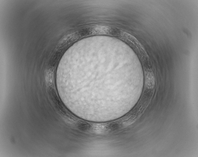 X0000115020701200912071027