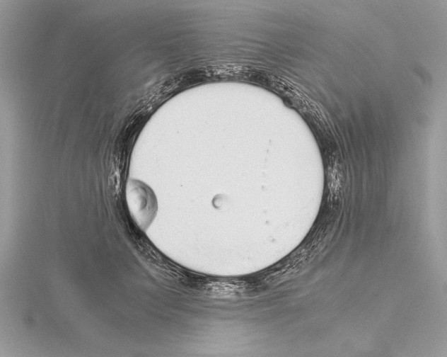 X0000115020703200912071027