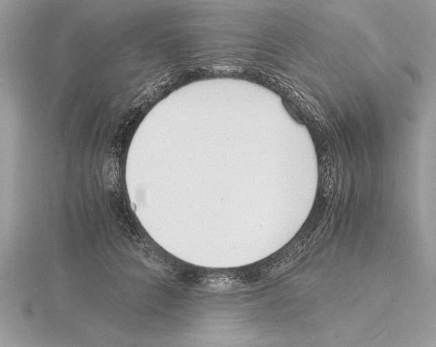 X0000115020704200912071027