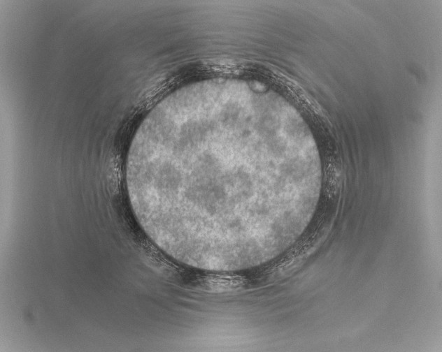 X0000115020707200912071027