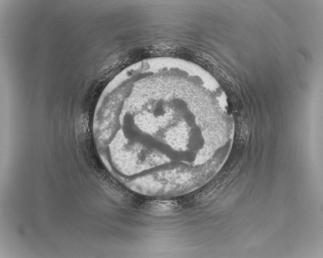 X0000115020711200912071027