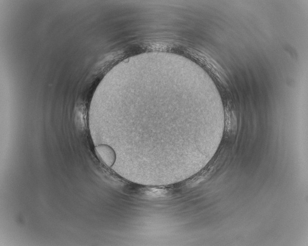 X0000115020718200912071027